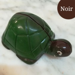 Tortue Noir