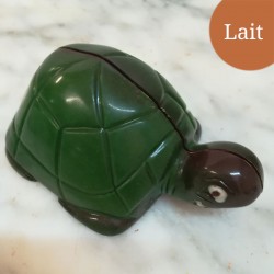 Tortue Lait